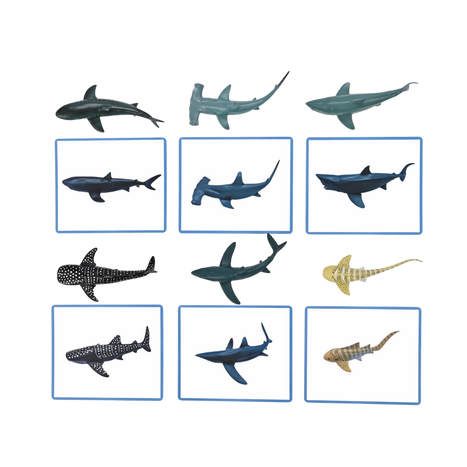 ものと絵合わせ(海の生き物)